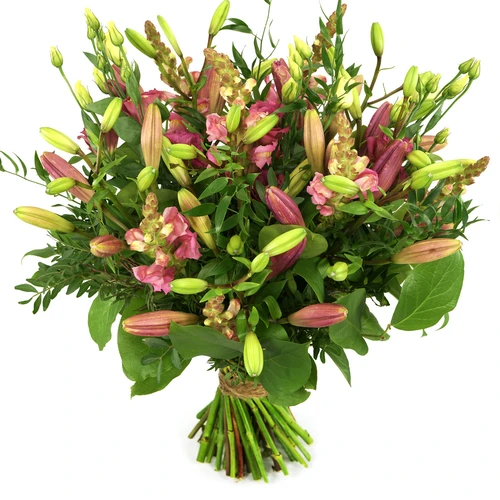 De bloem van de week: De lelie